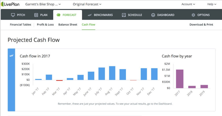 LivePlanCashFlow