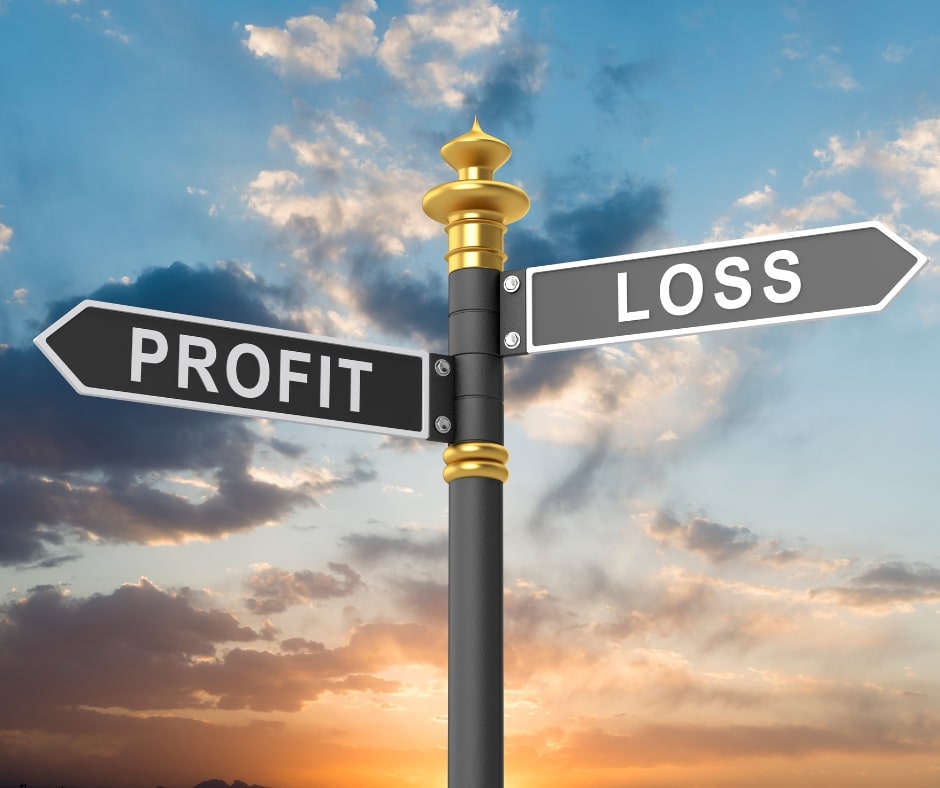 profit and loss statement