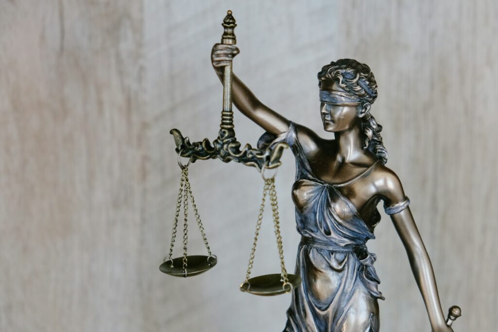 statute balancing the scales of pro bono expenses